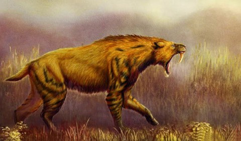 Один із перших стародавніх хижаків планети: відкрито новий вид шаблезубого ссавця