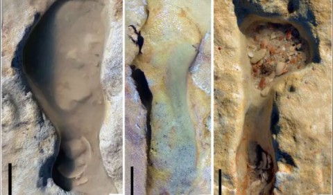 Виявлено найстаріші сліди неандертальців у Європі