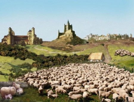 Випасання овець на пасовищаї Англії