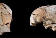 Знайдено череп людини зі слідами найдавнішої операції