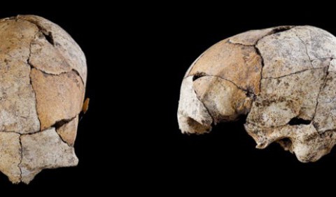 Знайдено череп людини зі слідами найдавнішої операції