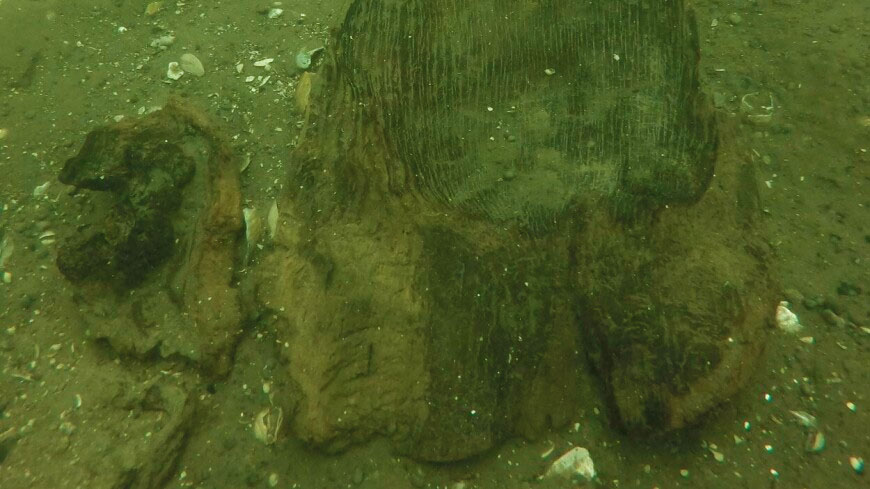 Найдавніше каное віком 3000 років знайшли в озері Вісконсіна – 2