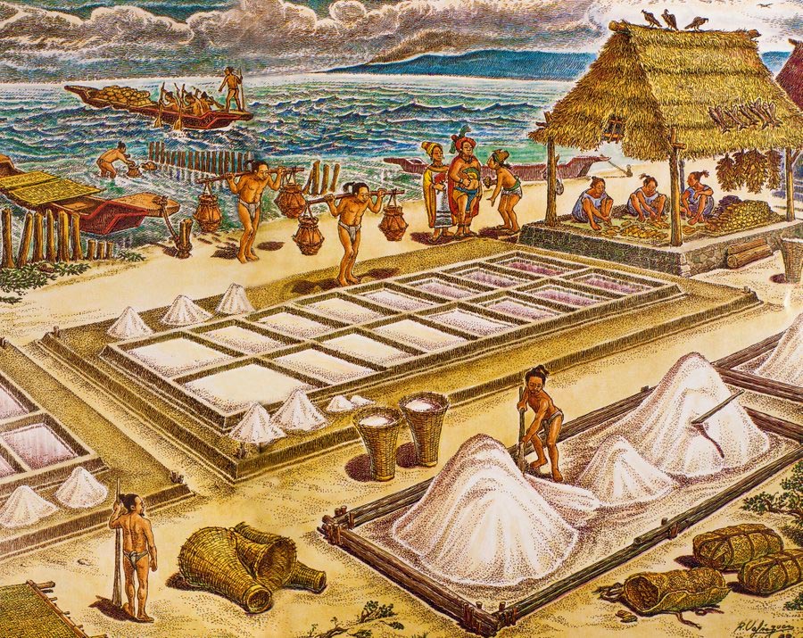 Названо головне багатство цивілізації майя