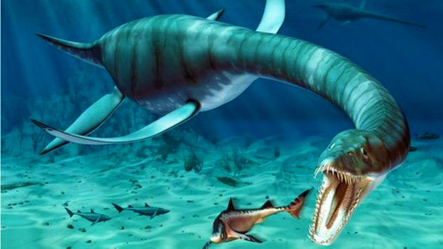 Скелет, що пилився в музеї, виявився новим видом морських динозаврів – 3