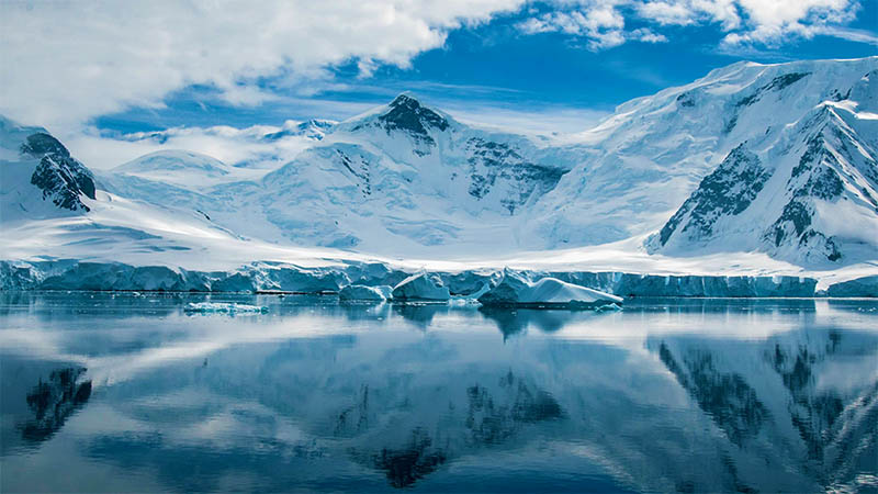 Стародавню ДНК віком мільйон років виявили в Антарктиді