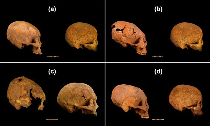 У Китаї археологи виявили скелети з яйцеголовими черепами – 3