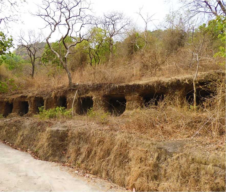У лісовому заповіднику Бандхавгарх знайшли втрачені храми, буддистські споруди та печери – 2