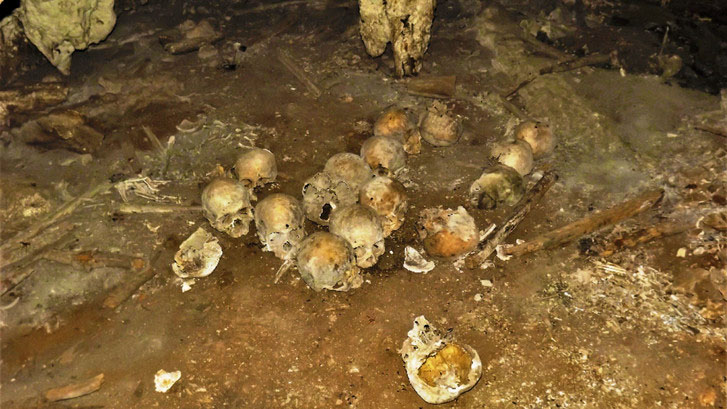 У Мексиці знайшли 150 беззубих черепів, що залишилися від моторошного обряду цомпантлі