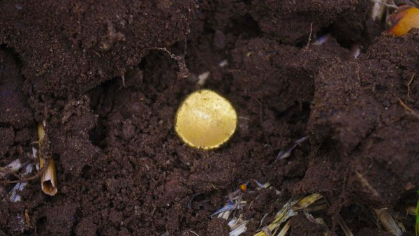 У Німеччині знайдено скарб із райдужними чашками – золотом кельтів