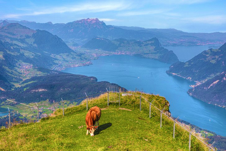 У Швейцарії виявлено 3000-річне поселення — 2