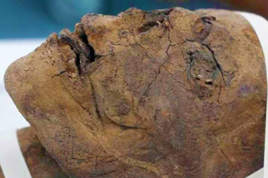 В Англії досліджували знайдену на горищі голову мумії – 2