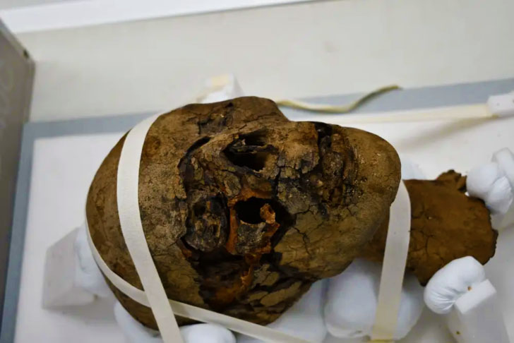 В Англії досліджували знайдену на горищі голову мумії