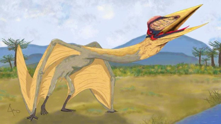 В Аргентині археологи розкопали скелет ящера з розмахом крил 9 метрів