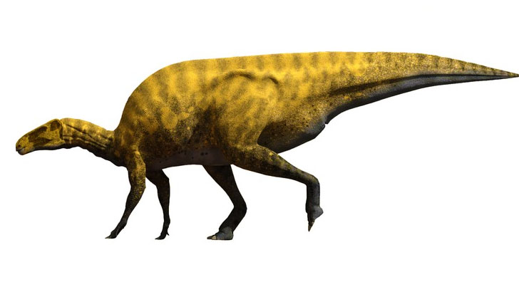 В Іспанії виявили новий вид динозаврів