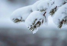 10 дивовижних фактів про сніг – ви будете вражені