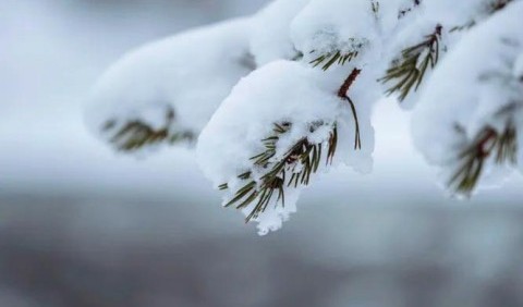10 дивовижних фактів про сніг – ви будете вражені