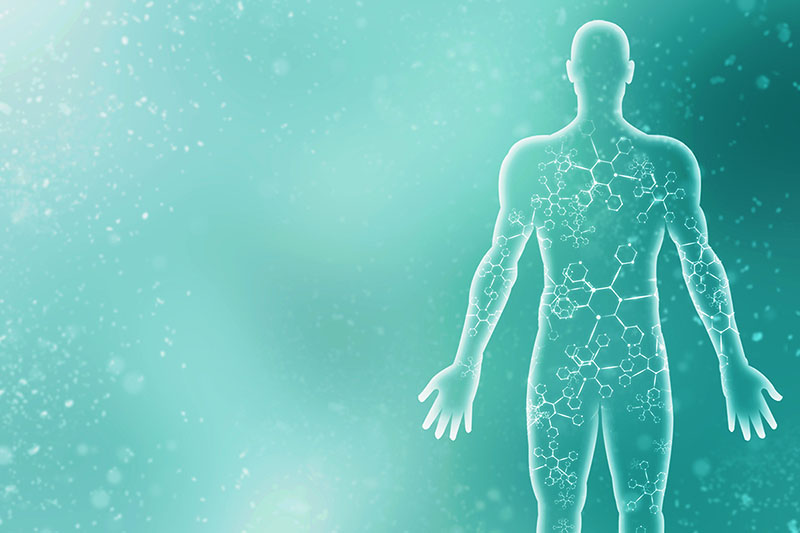 10 наукових фактів про людське тіло, в які важко повірити