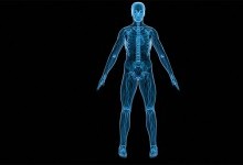 Абсурдні міфи про людське тіло: люди продовжують вірити у них попри факти