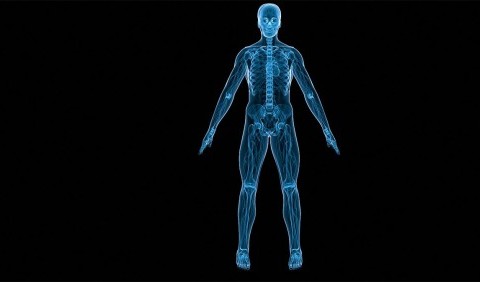 Абсурдні міфи про людське тіло: люди продовжують вірити у них попри факти