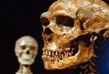 Археологи опублікували результати дослідження дефектного скелета з Португалії