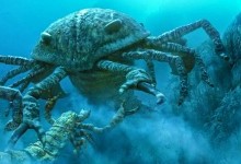 Археологи виявили останки морських тварин, які жили мільйони років тому 