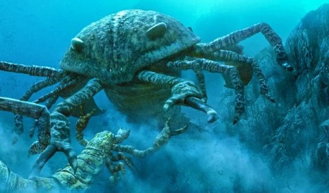 Археологи виявили останки морських тварин, які жили мільйони років тому 