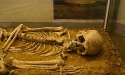 Археологи виявили скелет, що добре зберігся, на місці поховання в Помпеях