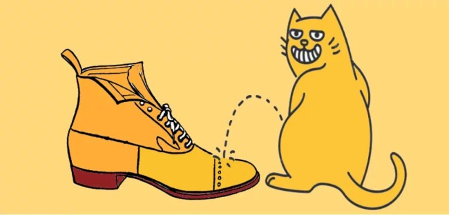 Чим вивести запах котячої сечі з взуття