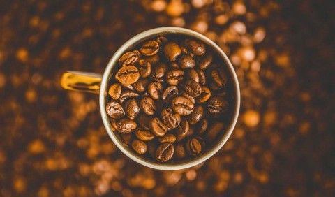 Дім кави – Ваш універсальний магазин кавових продуктів преміум-класу