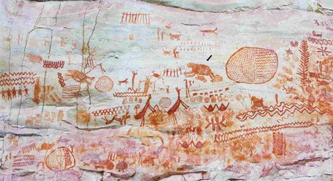 Доісторичні малюнки з Амазонії відобразили вимерлих гігантів