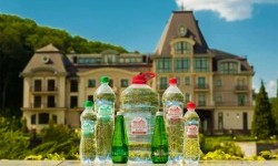 Дослідження та переваги вживання мінеральних вод Закарпаття