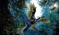 Хто малює достовірні зображення давніх тварин?