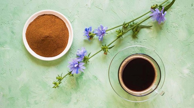 Кава чи цикорій – що корисніше – 3