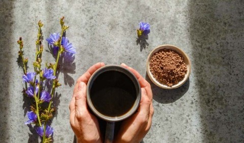 Кава чи цикорій – що корисніше