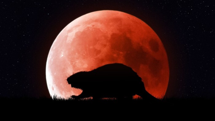 Під час повного місячного затемнення повний місяць стає іржавим і червонуватим. Один такий «кривавий місяць» з’явиться на небі 8 листопада.