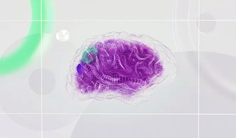 Дослідження: людський мозок у 10 разів простіше стиснути, ніж пінопласт