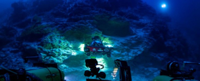 На глибині 500 метрів під водою виявлено цілий світ
