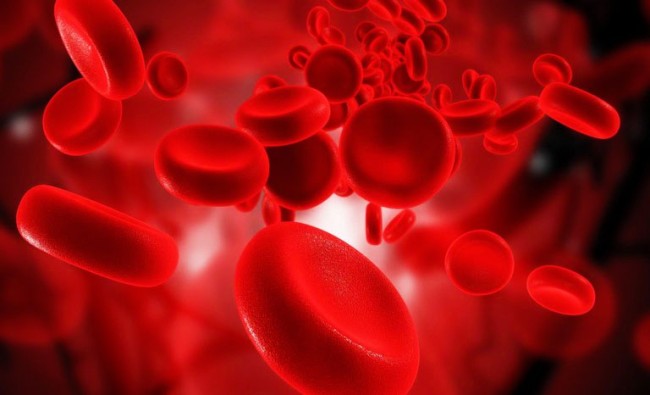 Найрідкісніша кров у світі – як живуть люди з нульовим резус-фактором