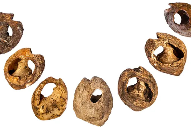 Намисто віком 142 000 років – можливо, найдавніший приклад моди далекого минулого