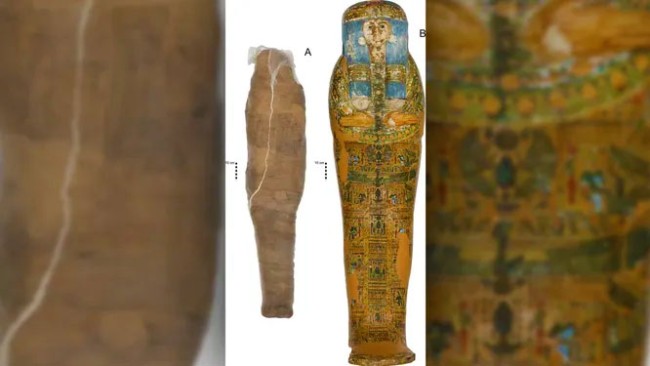 Навіщо єгиптяни робили грязьові кокони для мумій – 2