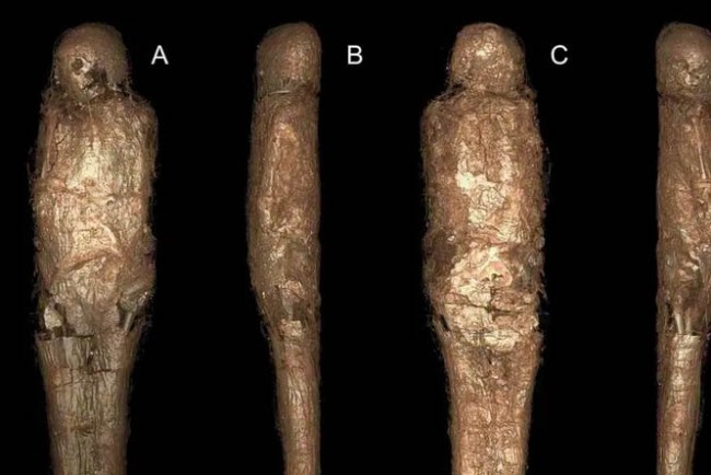 Навіщо єгиптяни робили грязьові кокони для мумій