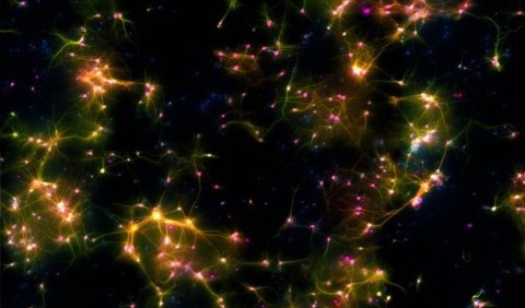 Навчання у пробірці: штучні нейрони зіграли у теніс із комп'ютером