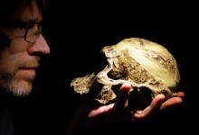 Скільки Homo sapiens народилося з моменту появи виду?