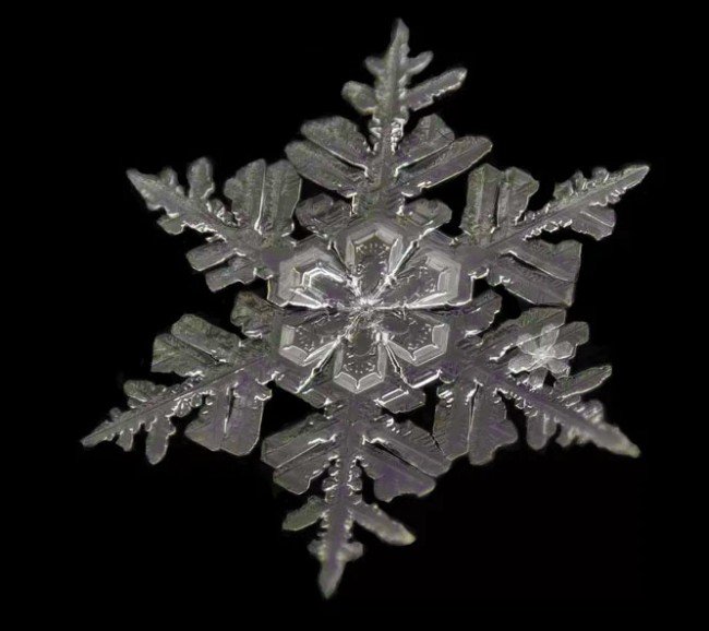 Сніжинки як вироби ювеліра – подивіться на ці неймовірно детальні фото – 2