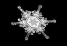 Сніжинки як вироби ювеліра: подивіться на ці неймовірно детальні фото