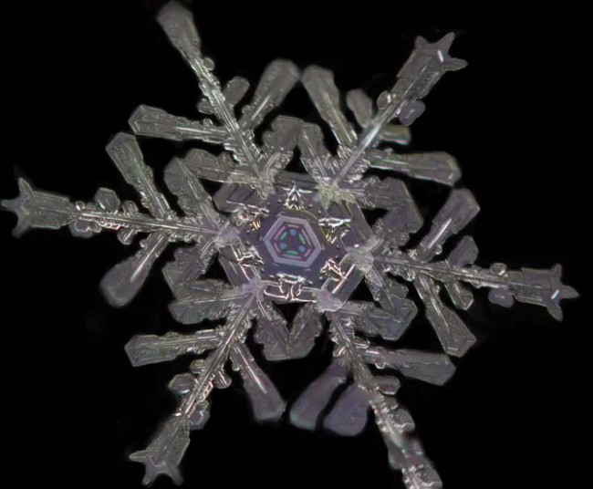Сніжинки як вироби ювеліра – подивіться на ці неймовірно детальні фото – 3