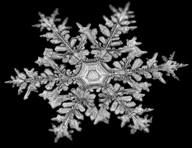 Сніжинки як вироби ювеліра – подивіться на ці неймовірно детальні фото – 4