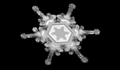 Сніжинки як вироби ювеліра: подивіться на ці неймовірно детальні фото