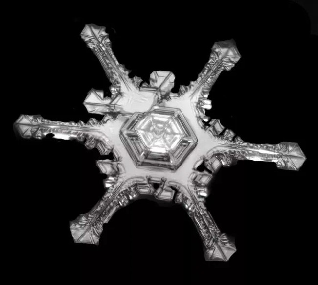 Сніжинки як вироби ювеліра – подивіться на ці неймовірно детальні фото – 5