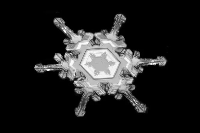 Сніжинки як вироби ювеліра – подивіться на ці неймовірно детальні фото